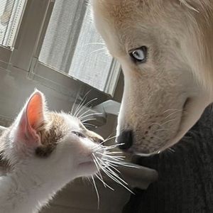 Meet your Posher, Jian